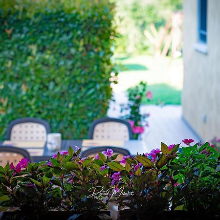 Palazzolo dello Stella Agriturismo Olistella מראה חיצוני תמונה