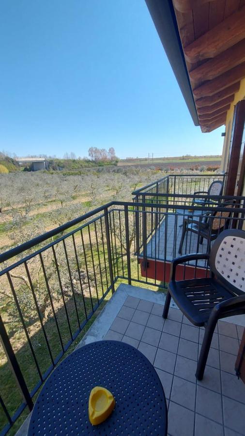 Palazzolo dello Stella Agriturismo Olistella מראה חיצוני תמונה