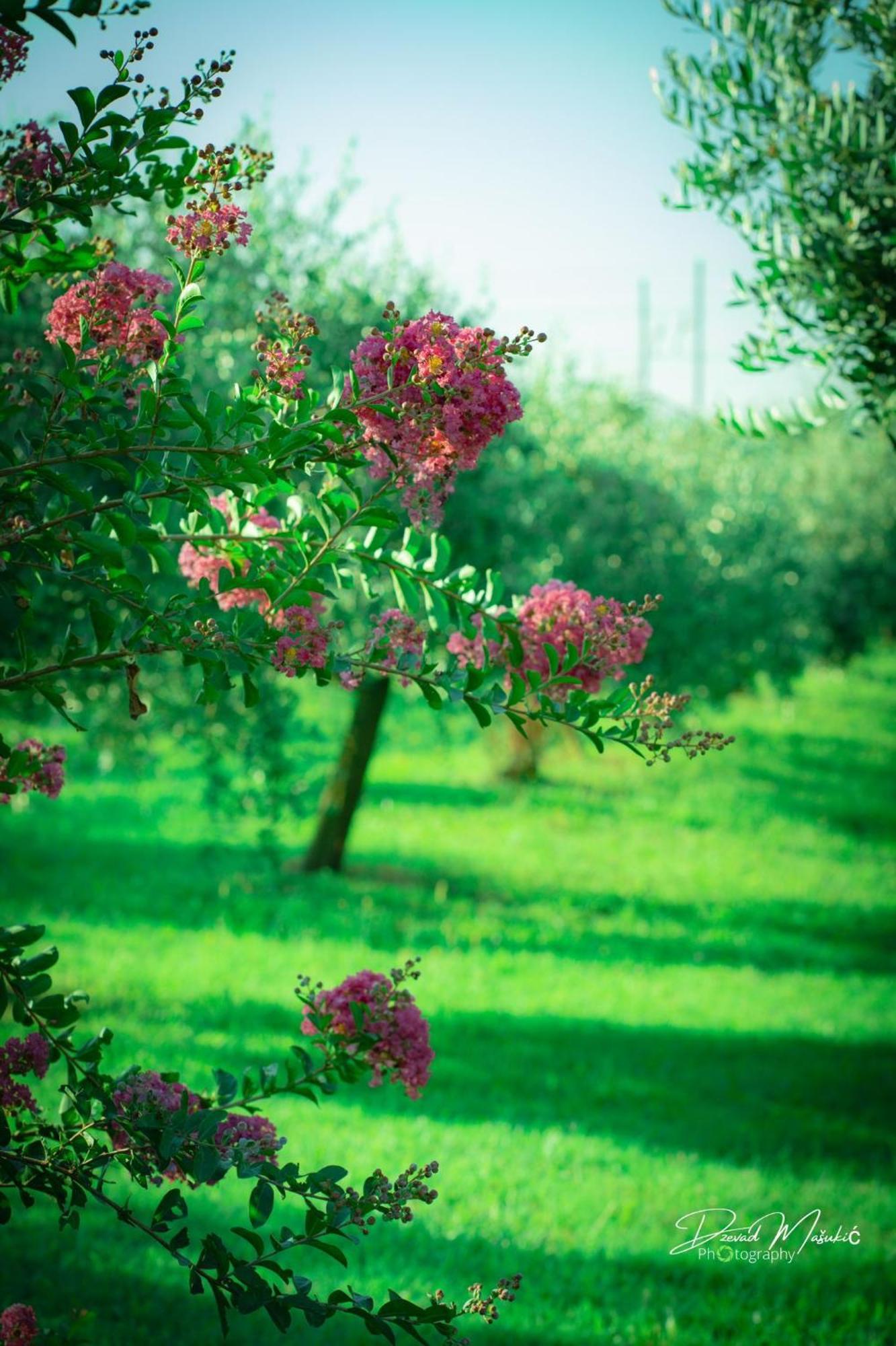 Palazzolo dello Stella Agriturismo Olistella מראה חיצוני תמונה